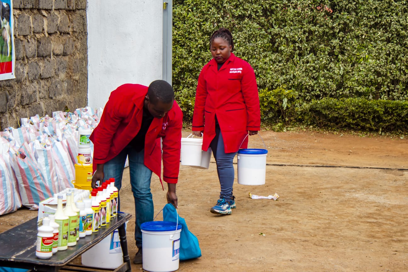 Description of the image