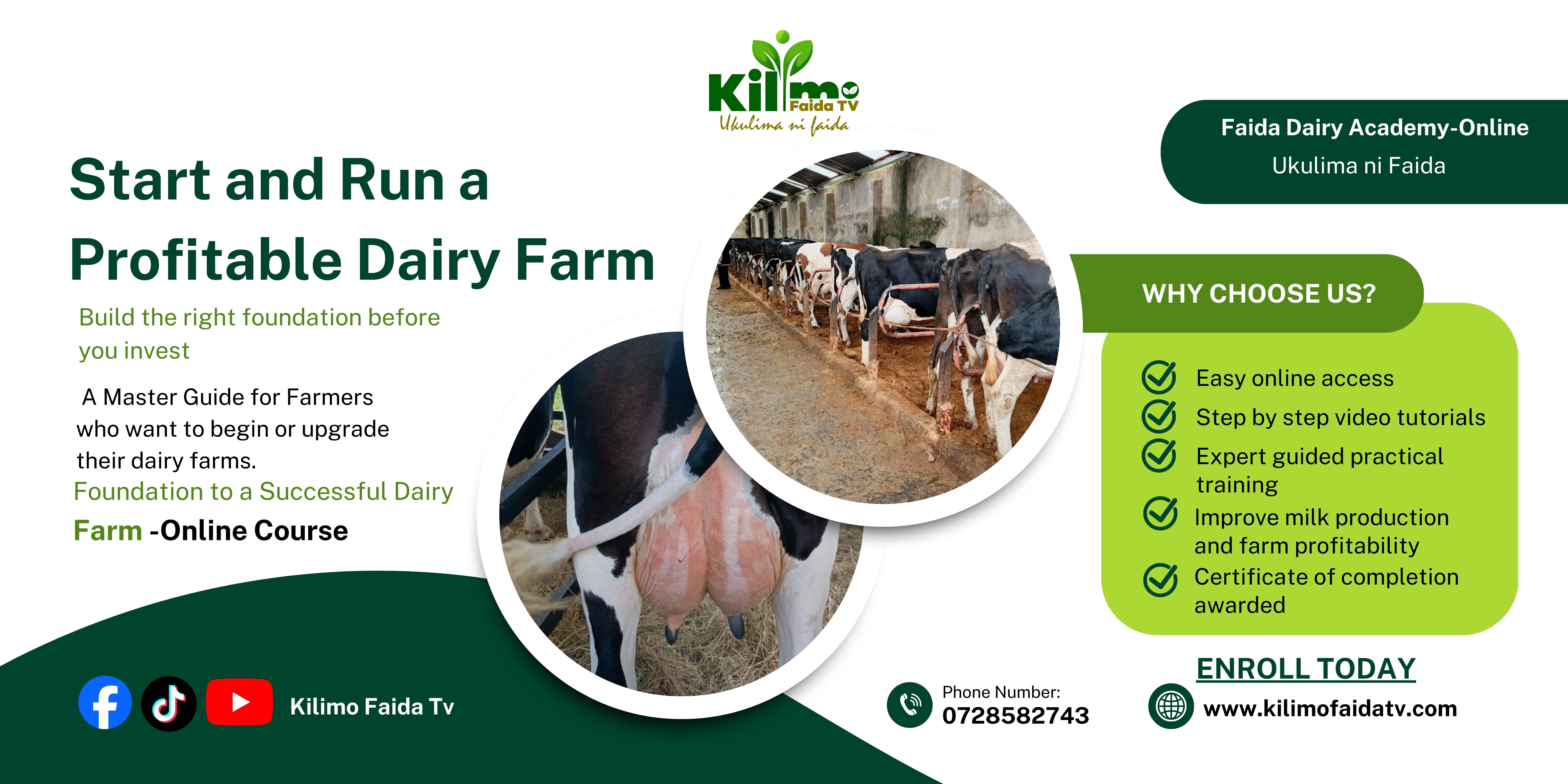 Foundation of a Successful Dairy Farm